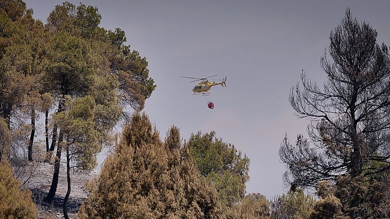 Prevención incendios 2026: riesgo extremo este julio | Ver