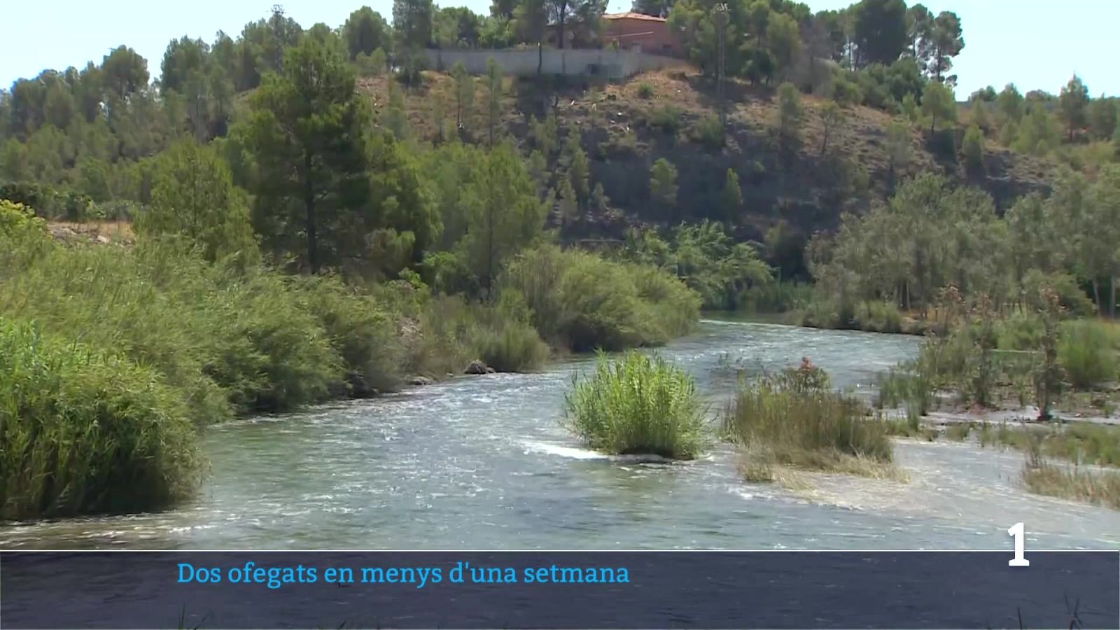 L'informatiu Comunitat Valenciana 1 - 13/07/26 | Ver