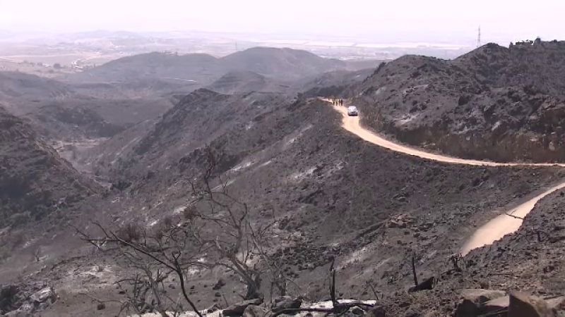 El gran incendio de Los Gallardos en Almería está controlado | Ver