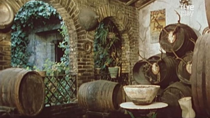 Protagonista el vino - La huerta y el vino