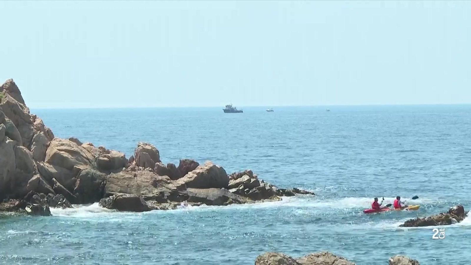 L'escalfament del mar altera els peixos a la costa catalana - L'Informatiu | Veure