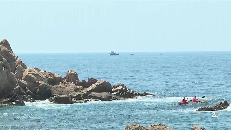 L'escalfament del mar altera els peixos a la costa catalana - L'Informatiu | Veure