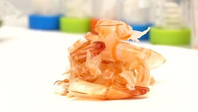 La cáscara de la gamba, el nuevo material que sirve para luchar contra la sequía