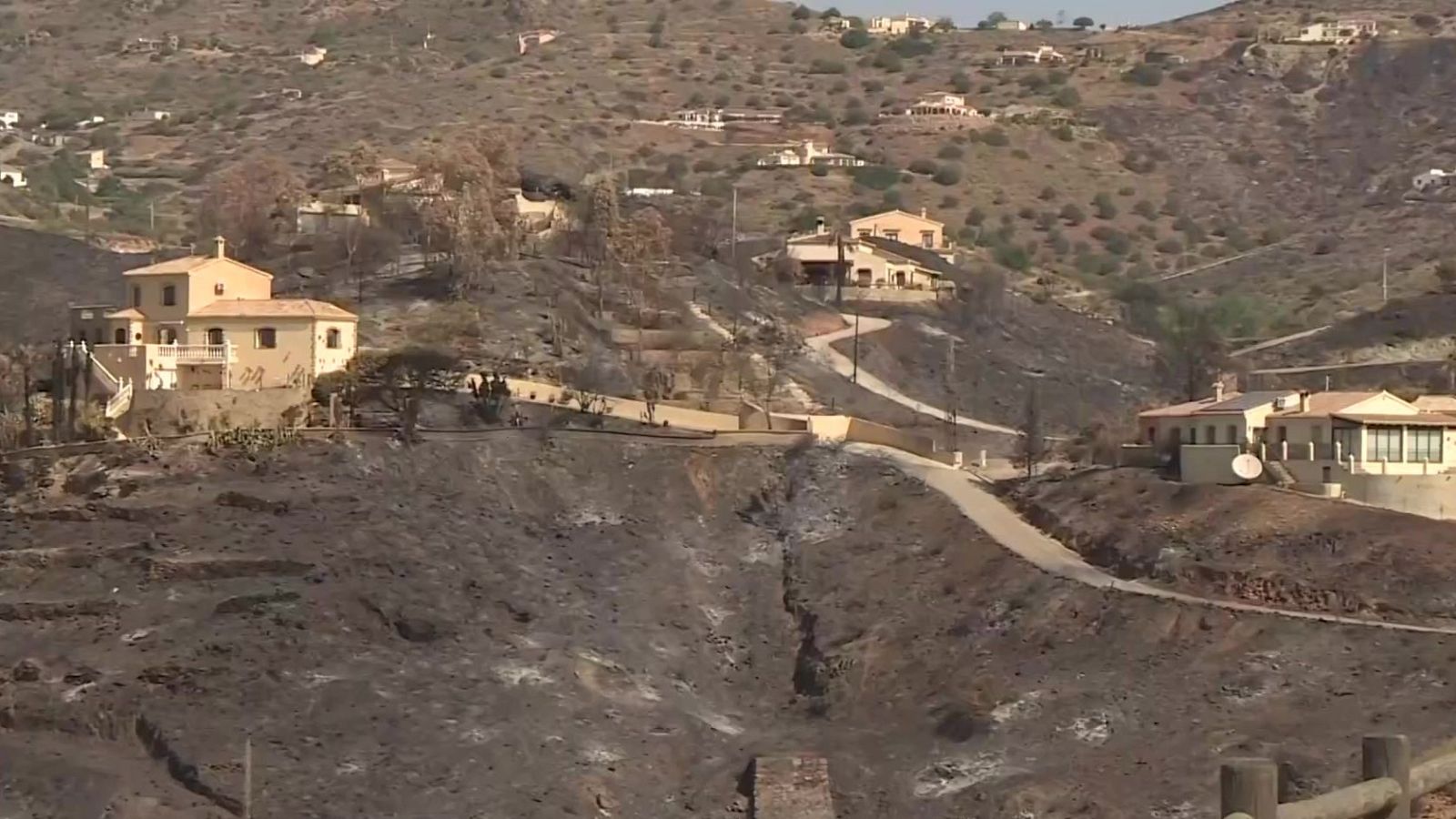Tras el fuego las historias, incendio de Los Gallardos - Noticias Andalucía | Ver