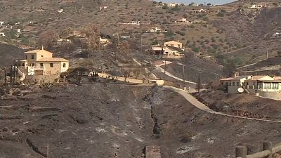 Tras el fuego, las historias, en el incendio de Los Gallardos