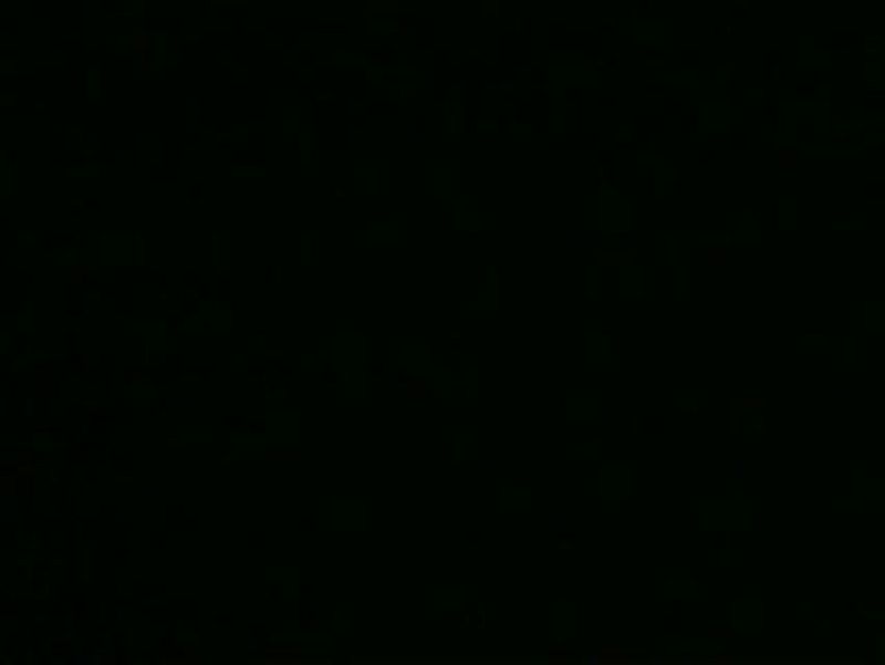 Telenavarra - 11/03/13 | Ver