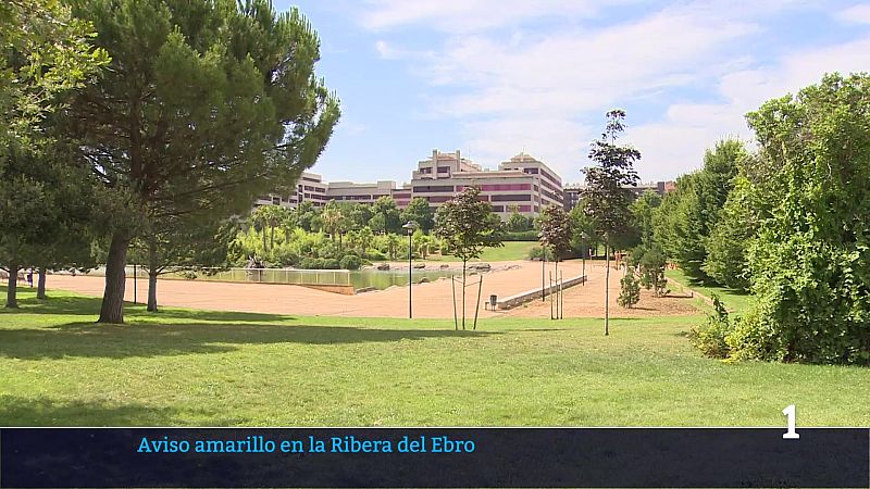 Informativo Telerioja - 15/07/26 | Ver