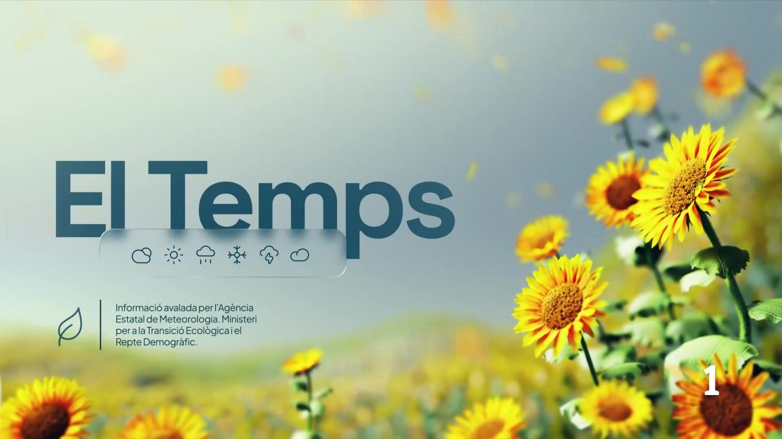 El temps a les Illes Balears - 15/07/26 | Ver