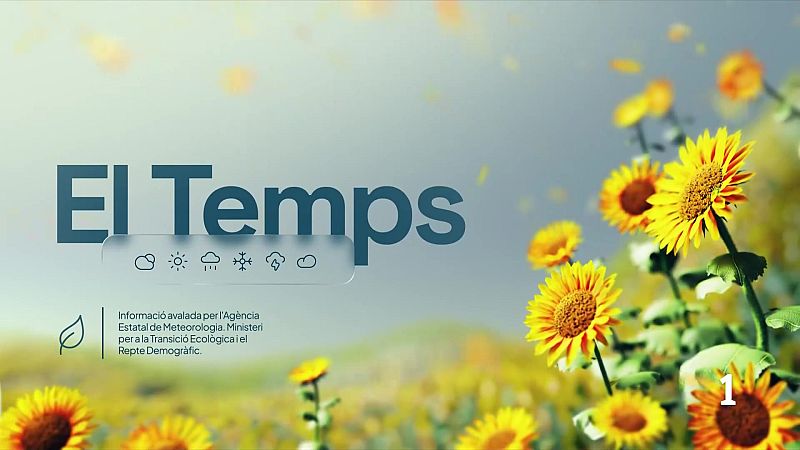 El temps a les Illes Balears - 15/07/26 | Ver