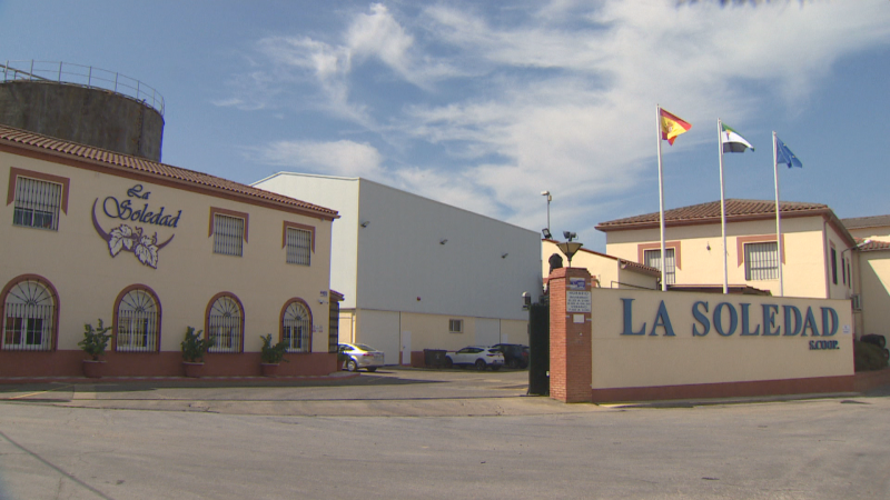 Cooperativa La Soledad de Aceuchal cumple 50 años - Noticias de Extremadura | Ver