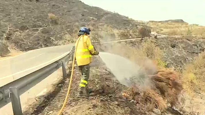 Noticias Andalucía - Un paraje hecho cenizas: Los Gallardos después del peor incendio Forestal de Andalucía