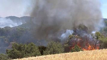 �Por qu� se est�n produciendo tantos incendios en Arag�n este verano?