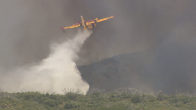 El incendio de las Cinco Villas, el m�s grande de este verano en Arag�n - Noticias Arag�n | Ver