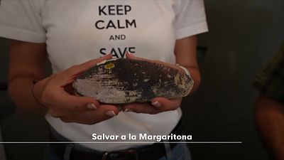 Salvar a la Margaritona