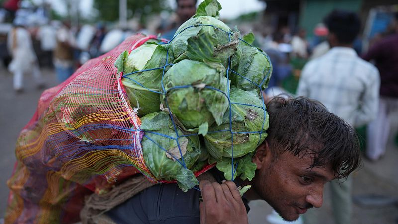 El calor extremo azota el norte de la India, con temperaturas de más de 48 grados - Fin de semana 24h | Ver