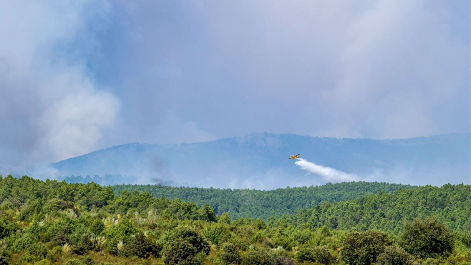 El incendio de Mierla (Guadalajara) obliga a más desalojos | Ver