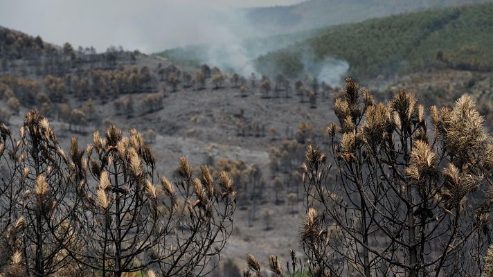 Telediario Fin de Semana - El incendio de Guadalajara calcina 13.000 hectáreas y el de Zaragoza se estabiliza