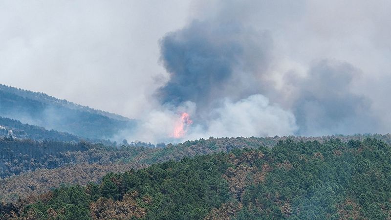 Incendios forestales en España - Mañaneros 360 | Ver