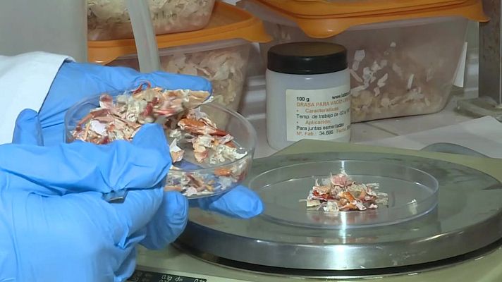 Noticias Andalucía - Del cangrejo a la cosmética a través de la química