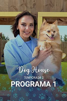 Dog House - Programa 1