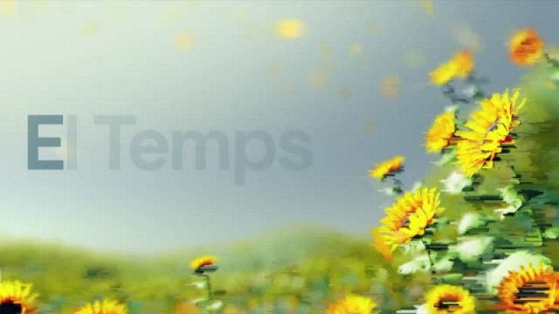 El temps a les Illes Balears - 20/07/26 | Ver