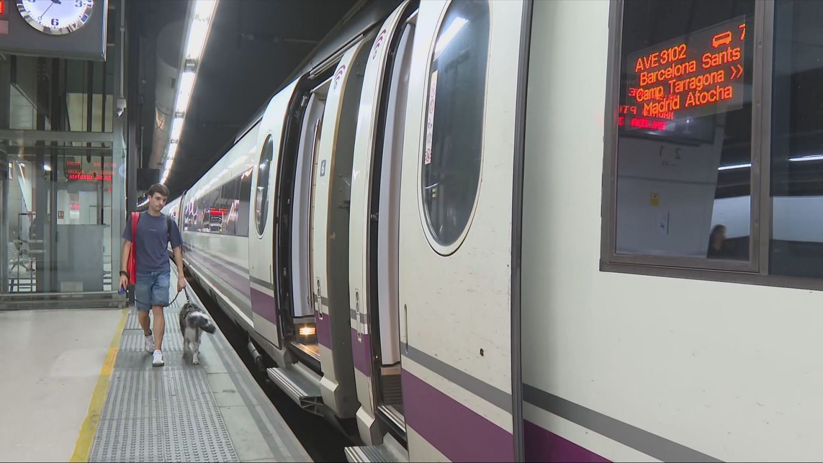 Els gossos ja poden viatjar en els trens de Renfe