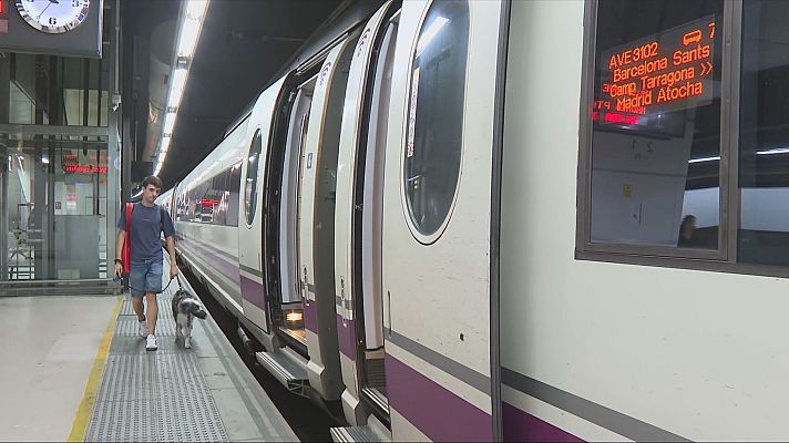L'Informatiu - Els gossos ja poden viatjar en els trens de Renfe