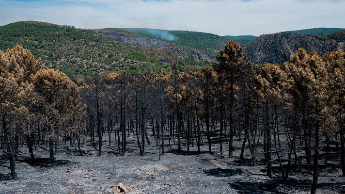 Telediario 1 - Mejora la situación del incendio de Guadalajara, pero sigue amenazando Soria