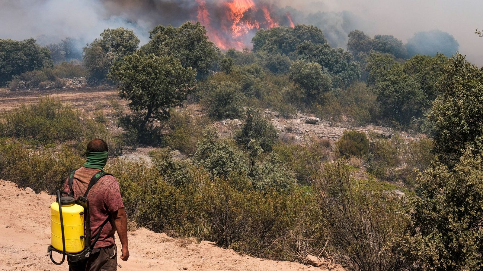 Vecinos de zonas rurales aprenden cómo actuar ante los incendios | Ver