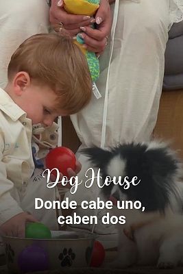 Dog House - Cristina, Derek y Vanesa: donde cabe uno, caben dos