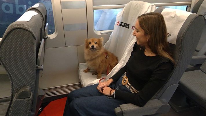 La tarde en 24h - Los perros de hasta 40 kg podrán viajar con sus dueños en todos los trayectos de Renfe