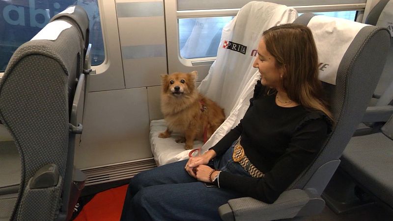 Los perros de hasta 40 kg podrán viajar con sus dueños en todos los trayectos de Renfe - La tarde en 24h
