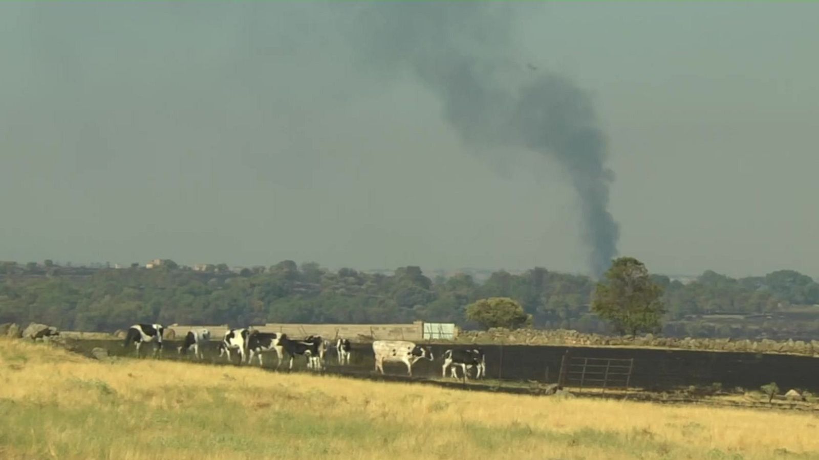 El incendio Brieva baja nivel 1 de peligrosidad - Ver más