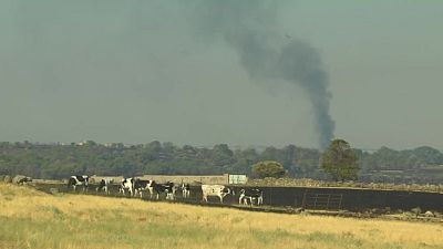 El incendio de Brieva baja nivel 1 de peligrosidad