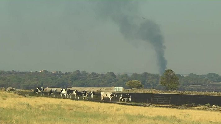 Noticias de Castilla y León - El incendio de Brieva baja nivel 1 de peligrosidad