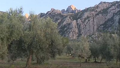 Julia, la terapeuta de los Andic, motivó a Jonathan a buscar una ruta extrema