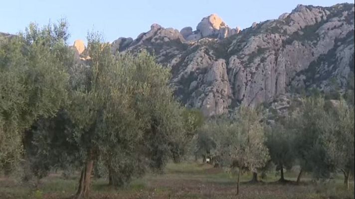 Directo al grano - Julia, la terapeuta de los Andic, motivó a Jonathan a buscar una ruta extrema