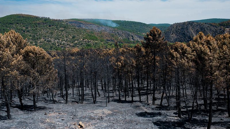 Llevan evacuados desde la tarde del lunes por el drástico empeoramiento de la calidad del aire