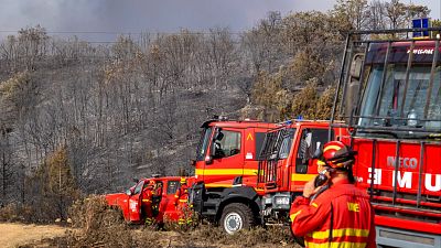 Los incendios de La Mierla y Selas, en Guadalajara, mejoran, pero se mantiene la cautela