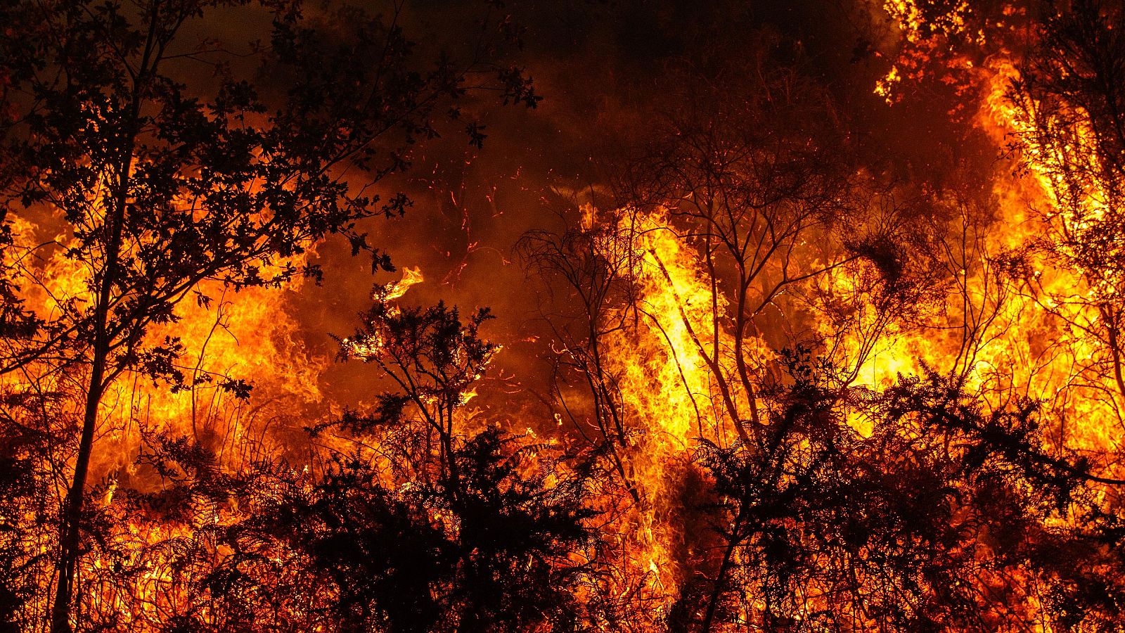 La IA ayuda en la detección de incendios forestales en Galicia
