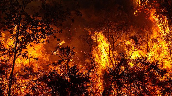 Telediario 2 - La IA ayuda en la detección de incendios forestales en Galicia