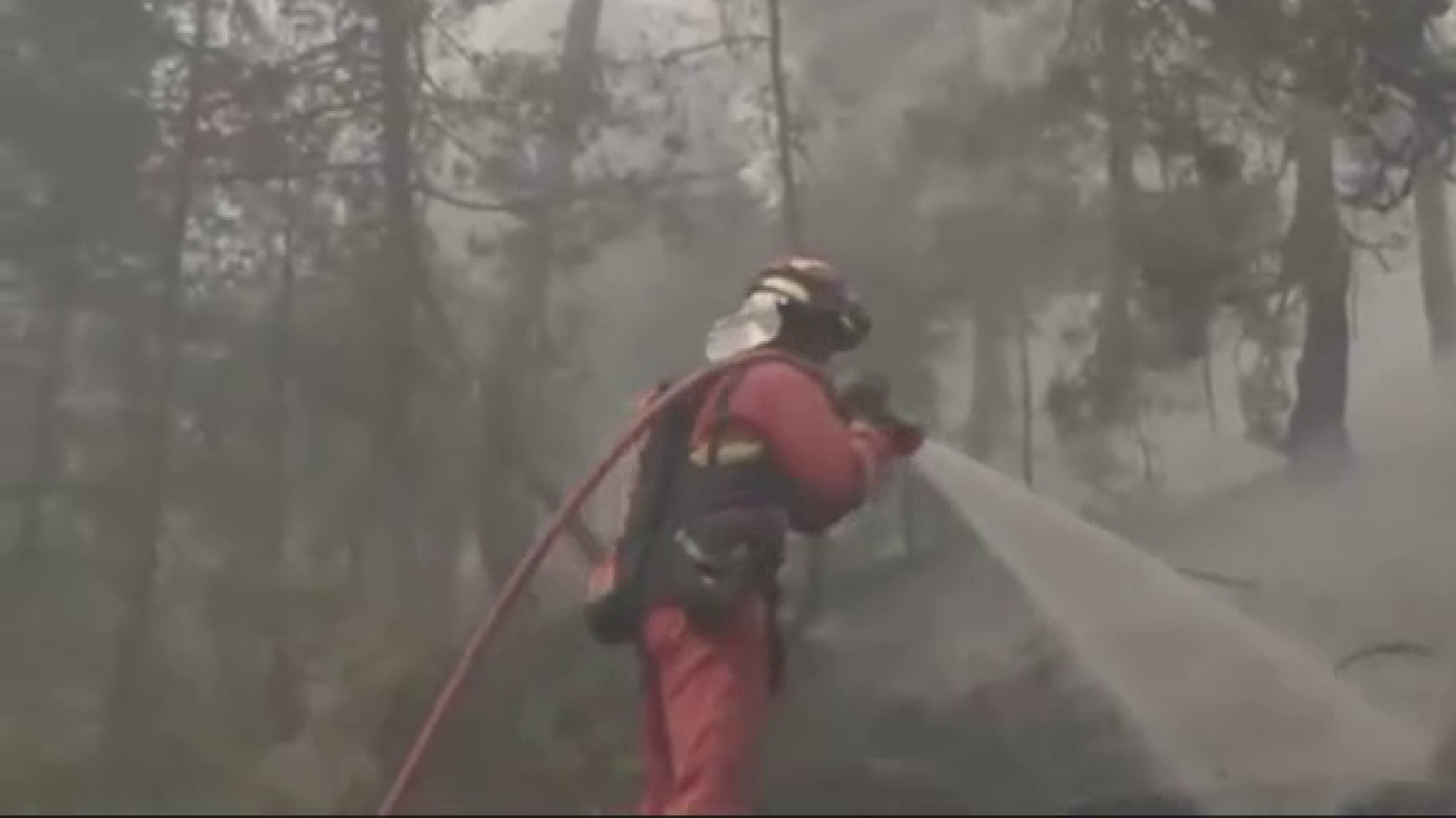 Bombero en acción contra incendio forestal, rociando agua con manguera en un bosque envuelto en humo denso. Uniforme rojo, casco protector, equipo de respiración visible.