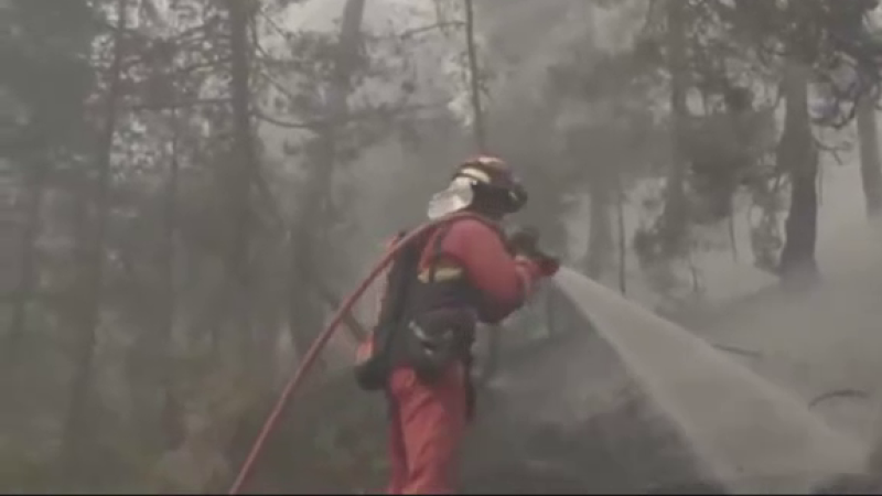 Bombero en acción contra incendio forestal, rociando agua con manguera en un bosque envuelto en humo denso. Uniforme rojo, casco protector, equipo de respiración visible.