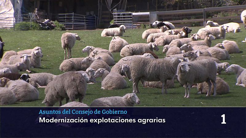 Informativo Telerioja 2 - 21/07/26 | Ver