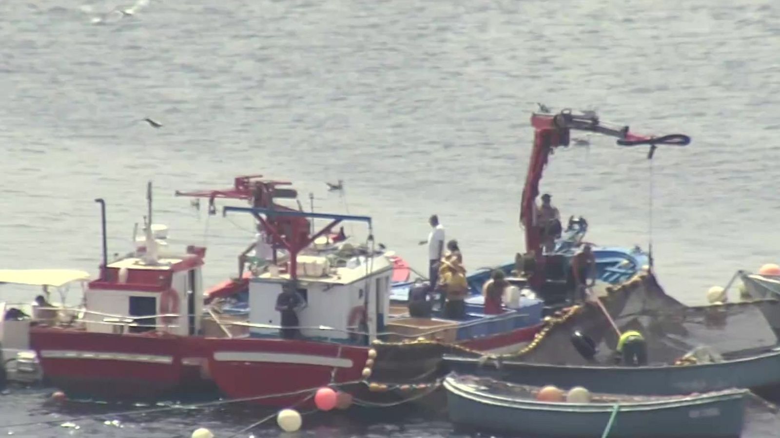 Los pescadores de Ceuta ven una vía abierta para recuperar la pesca del atún rojo | Ver