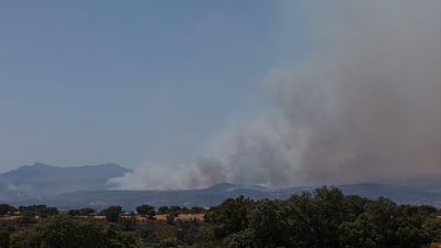 La mala calidad del aire puede ser peligrosa incluso a kilómetros de un incendio