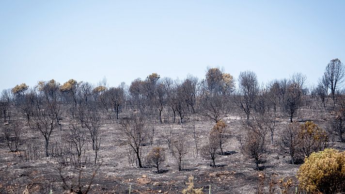 Telediario 1 - Dos incendios en la Comunidad de Madrid se unen y arrasan más de 6.000 hectáreas