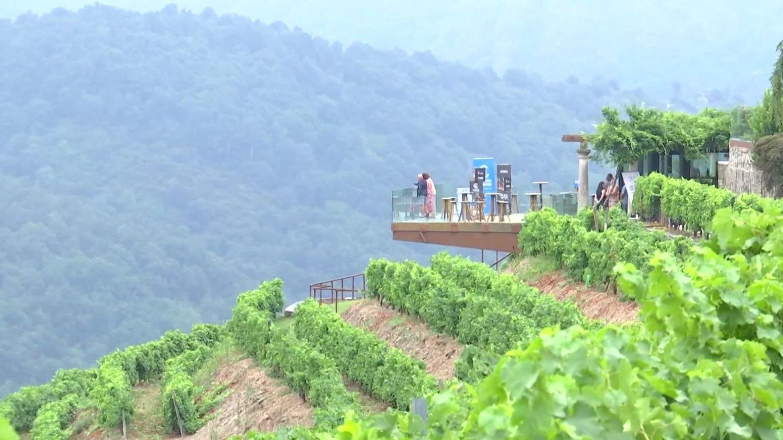 Música, Gastronomía, paisaxe e viño na Ribeira Sacra - Telexornal - Galicia | Vexa