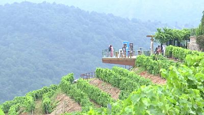 M�sica, Gastronom�a, paisaxe e vi�o na Ribeira Sacra - Telexornal - Galicia | Vexa