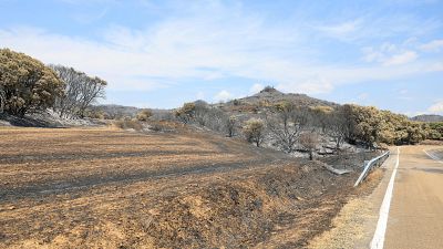 Or�s regresa poco a poco a la normalidad tras el incendio - Noticias Arag�n | Ver